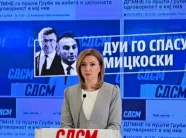 lsdm-per-kthimin-e-artan-grubit:-bdi-po-e-shpeton-mickoskin