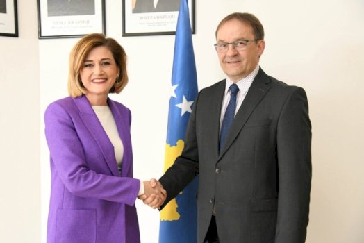 kusari-takon-ambasadorin-austriak-schnetzer,-thekson-thellimin-e-bashkepunimit-ekonomik