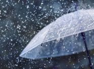 shi-dhe-ere-e-fuqishme,-parashikimi-i-motit-per-neser