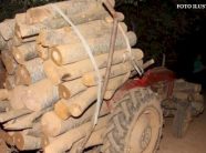 gjilan:-kapet-nje-burre-duke-transportuar-ilegalisht-drunj