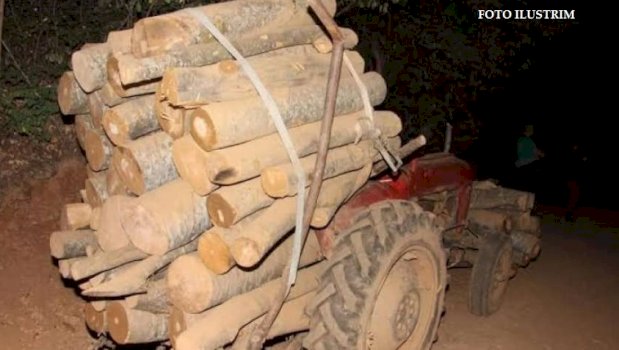 gjilan:-kapet-nje-burre-duke-transportuar-ilegalisht-drunj