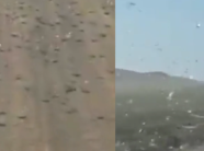 nje-tufe-e-madhe-karkalecash-godet-ishujt-spanjolle-per-pushime-–-zyrtaret-leshojne-udhezime-per-turistet