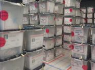 falsifikim-i-rezultatit-zgjedhor,-arrestohen-e-me-pas-lirohen-15-persona-ne-novoberde