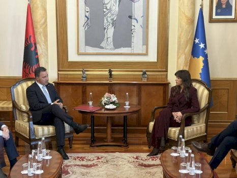 kryeparlamentarja-haxhiu-pret-ne-takim-homologun-shqiptar,-peleshin