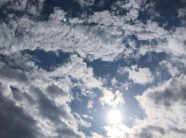 mot-tipik-pranveror,-temperaturat-deri-ne-17-grade-celsius