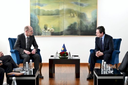 Kurti pret në takim përfaqësues të BERZh it