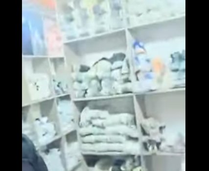 dogana-konfiskon-mallra-qe-dyshohet-se-jane-te-kontrabanduara,-vlera-rreth-800-mije-euro