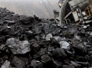 aksion-kunder-nxjerrjes-ilegale-te-thengjillit-ne-vushtrri,-arrestohen-gjashte-persona