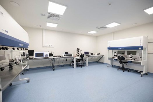 ne-qkuk-konfirmohet-shtatzenia-e-pare-pas-procedures-ivf,-arben-vitia:-lajm-qe-jep-shprese-per-shume-gra