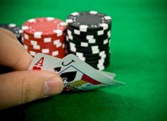 pese-persona-kapen-duke-luajtur-bixhoz-ne-malisheve