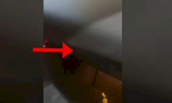 trafik-armesh-dhe-makinash-ne-shqiperi,-arrestohen-dy-persona-nga-kosova