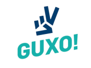 guxo:-pretendimet-per-doreheqje-ne-mase-ne-decan-e-peje,-tendencioze