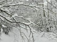 reshje-te-medha-bore-ne-zvicer,-autoritetet-shpallin-nivel-alarmi-4-ne-disa-rajone