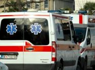 femije-te-vegjel-nga-kumanova-jane-helmuar-me-leng-per-sperkatjen-e-pemeve