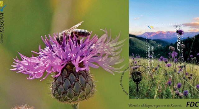 bimet-e-shkrepave-gurore-te-kosoves”-ne-pulla-postare