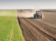 shqiperi/rriten-kostot-ne-bujqesi,-plehrat-kimike-dhe-nafta-shtrenjtojne-prodhimin-bujqesor