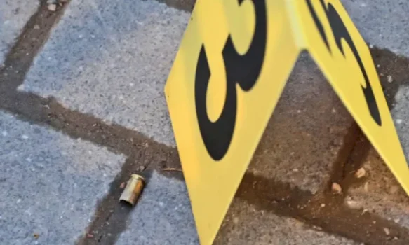 Prokuroria kërkon paraburgim ndaj të dyshuarit për vrasjen e vëllait në Klinë  seanca e procedurës paraprake mbahet sot