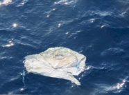 katari-thote-se-shtate-persona-vdiqen-nga-rrezimi-i-nje-helikopteri-ushtarak