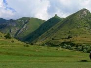 ndertime-pa-leje-ne-bjeshken-e-nivokazit,-policia-interviston-kater-te-dyshuar