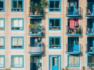 qirate-e-perballueshme-ne-zvicer,-nje-luks-i-rralle