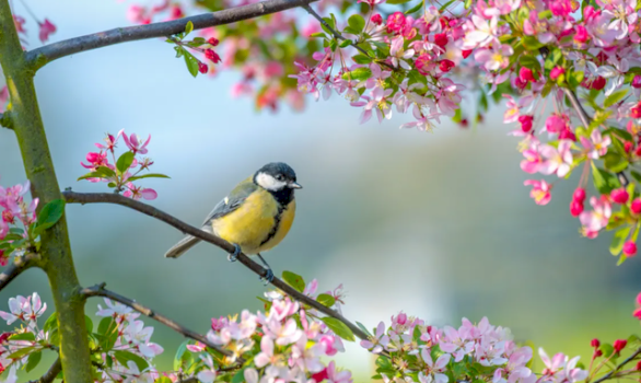 parashikimi-i-motit-per-diten-e-sotme-ne-vendin-tone