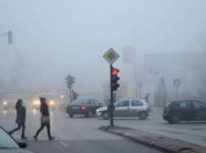 per-here-te-pare-ne-shqiperi,-kompensim-per-demet-ne-shendet-nga-ajri-i-ndotur