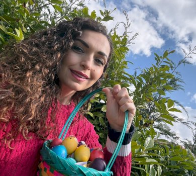 reagimi-i-pare-i-vjosa-osmanit-pas-dorezimit-te-detyres,-uron-pashket