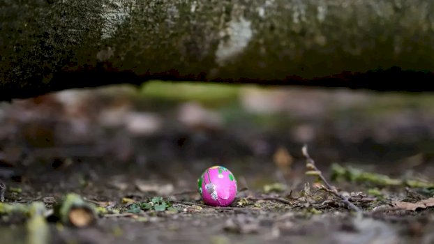 tragjedi-ne-diten-e-pashkes-–-pema-rrezohet-nga-era-e-forte,-tre-persona-humbin-jeten