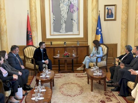 avokatet-e-popullit-te-kosoves-dhe-shqiperise-priten-ne-takim-nga-albulena-haxhiu
