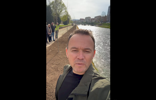 faton-peci-mbjell-40-drunj-dekorative:-cdo-dite-e-lume,-pune-dhe-sherbim-per-mitrovicen-tone