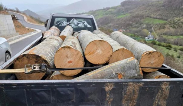 incident-gjate-kontrollit-per-transport-ilegal-te-drunjve,-lendohen-dy-police-ne-viti