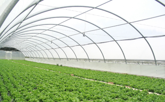 komuna-e-prishtines-hap-thirrjen-per-perkrahjen-e-fermereve-ne-ndertimin-e-serave