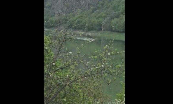 parandalohet-peshkimi-ilegal,-intervenon-policia