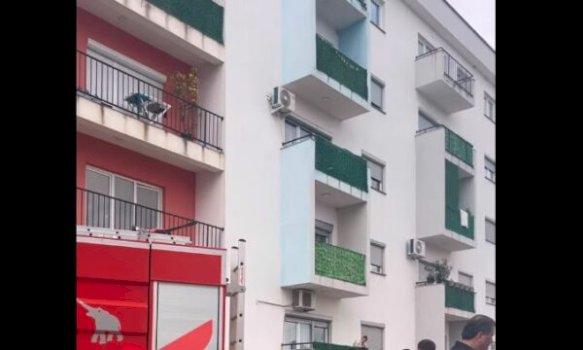 pamje-nga-vendi-ku-ndodhi-tragjedia-e-trefishte-ne-malisheve