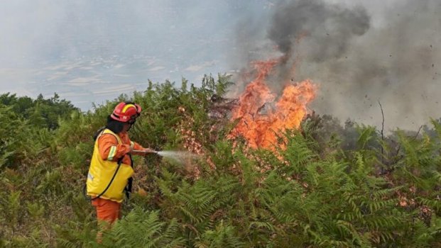 sezoni-i-veres,-ame-apelon-per-kujdes-te-shtuar:-shmangni-shkaktaret-e-mundshem-te-zjarrit