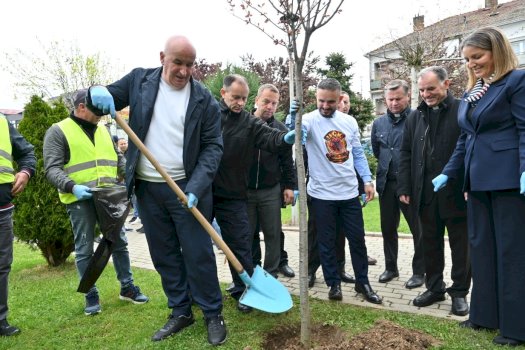 komuna-e-vitise-shenon-diten-e-tokes-me-aksione-pastrimi-dhe-aktivitete-mjedisore