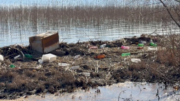 ndotja-e-liqenit-te-ohrit-alarmon-ekspertet,-biologet-kerkojne-masa-urgjente-per-mbrojtjen-e-tij