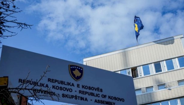 mblidhet-komisioni-per-te-drejtat-e-njeriut,-kerkohet-raportimi-i-trendafiloves