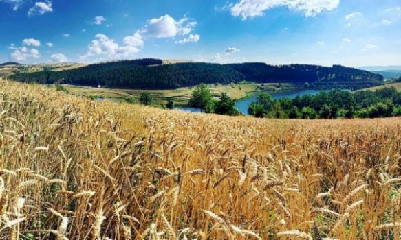 mbpzhr-ja-njofton-programin-e-pagesave-per-kultivuesit,-keto-prodhime-do-te-subvencionohen