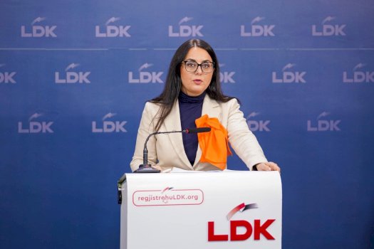 lushaku-sadriu:-mbledhja-e-sotme,-moment-bashkimi-per-ldk-ne