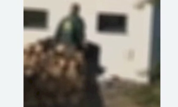 policia-publikon-video-nga-nderhyrja-ne-“sharri”,-te-dyshuarit-penguan-zyrtaret-ne-detyre