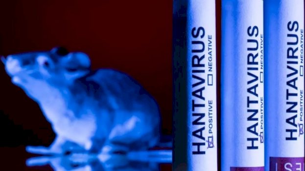 hospitalizohen-22-rastet-e-kontaktit-me-pacienten-e-vdekur-nga-hantavirusi