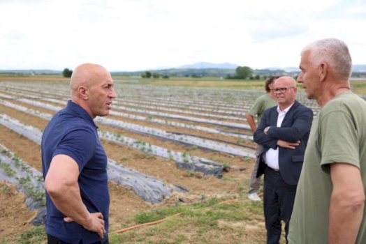Haradinaj  Në qeverisjen e Ardian Gjinit  fermerët do të jenë në qendër të vëmendjes dhe mbështetjes institucionale