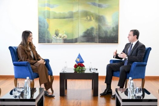 ish-nenkryetarja-e-ldk-se-i-bashkohet-kabinetit-te-kurtit