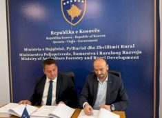 ministria-e-bujqesise-njofton-per-‘‘rikthimin-nen-menaxhim’’-te-200-mije-hektareve-pyje:-nga-proceset-me-te-rendesishme-te-pasluftes