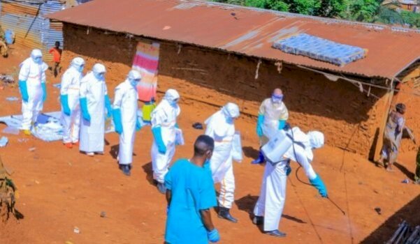 Ebola në Republikën Demokratike të Kongos: Mbi 1,000 raste të dyshuara, OBSH ngrit nivelin e alarmit
