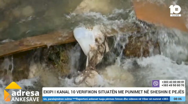 “shikone-lekuren-e-kurbanit”-–-qytetaret-e-pejes-hedhin-mbetjet-e-kurbaneve-ne-lumin-bistrica
