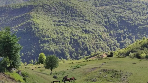 zhduken-dy-turiste-gjermane-ne-malin-e-polisit-ne-librazhd,-asnje-gjurme-qe-prej-mbremjes-se-djeshme