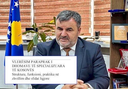 avokati-i-popullit-jep-detajet-nga-prezantimi-ne-hage-i-raportit-mbi-funksionimin-e-dhsk-se-dhe-zps-se