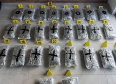 aksioni-i-madh-kunder-droges-–-policia-me-detaje:-kapen-60-kilograme-marihuane,-arrestohen-edhe-shtetas-te-huaj
